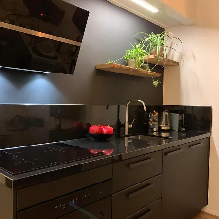 Appartement 2 Double Floor Centre New Family 38c *